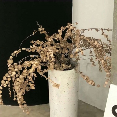 平南福瑞交流群